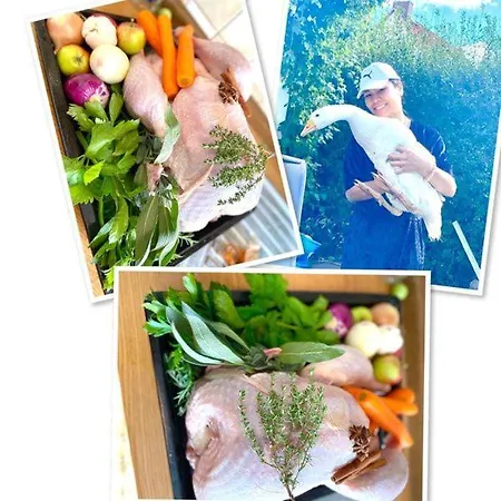 Мини-отель Dernedde Osterode am Harz